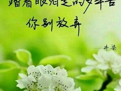 -安龙招堤