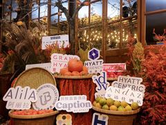 -君悦酒店·La Terrazza意合園·意式风味