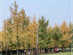 -大连植物园