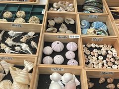 -万达广场(武汉菱角湖店)
