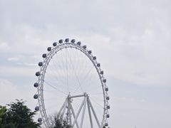 -日照海滨国家森林公园