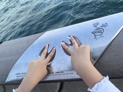 -星光大道