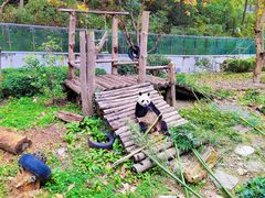 -黔灵山公园