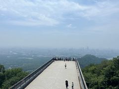 -紫金山山顶公园