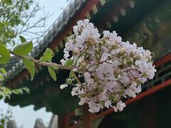 -宫事颐庭·老佛爷贵寿下午茶(颐和园店)