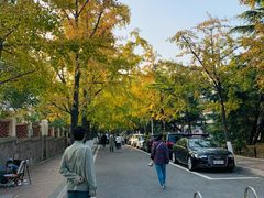 -八大关景区
