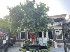 -天津五大道文化旅游区