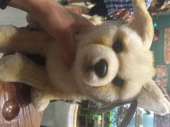iphone_upload_pic-Behring World of Animals(上海自然博物馆店)