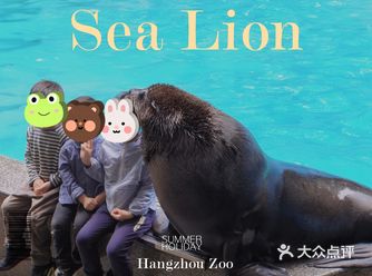 只需20看大猫戏水️杭州动物园游玩攻略️