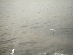 -星巴克(珠海仁恒滨海中心店)