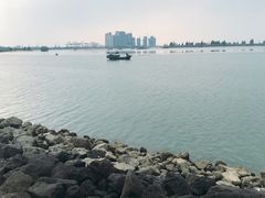 -万绿园