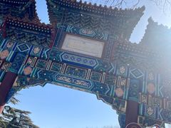 -雍和炸鸡烧饼