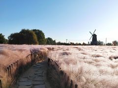 -羊亭河湿地公园