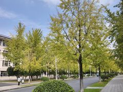 -浙江农林大学(东湖校区)