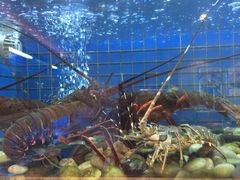 -金苑海鲜酒家(来魅力店)