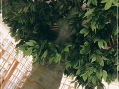 -水沐堂·漫温泉(居然雅苑店)