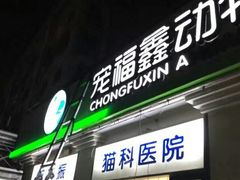 -宠福鑫动物医院(城北分院)
