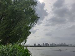 -金银湖国家城市湿地公园