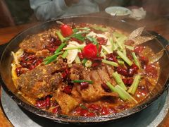 -老板恋上鱼(振华商厦店)