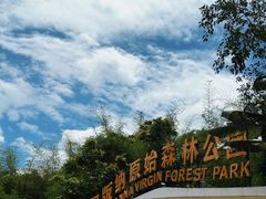 -西双版纳原始森林公园