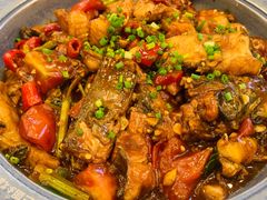-谢三姐金奖啤酒鱼(总店)