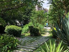 -晓港公园