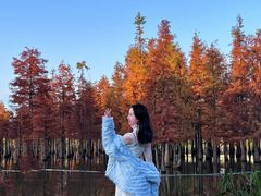 -白鹭湾湿地公园