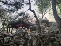 -宣武艺园
