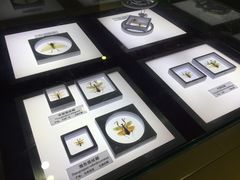 -上海昆虫博物馆