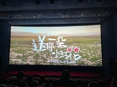 -飞扬影城(正佳IMAX店)