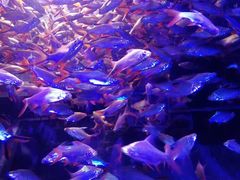 -成都浩海立方海洋公园