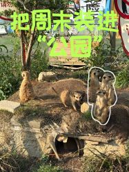 -三分地生态园·儿童乐园