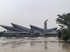 -盐城丹顶鹤湿地生态旅游区