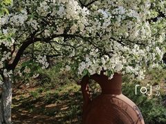 -元大都城垣遗址公园