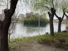 -新江湾城公园