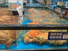 水产区-盒马鲜生(皇庭广场店)