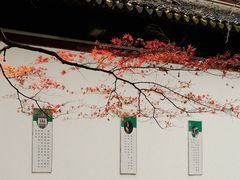 -西园戒幢律寺