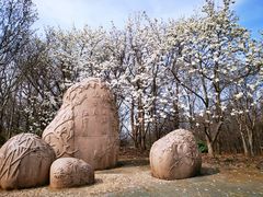 -上海共青森林公园