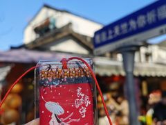-杭州上天竺法喜讲寺