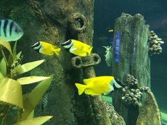 -福州罗源湾海洋世界旅游区