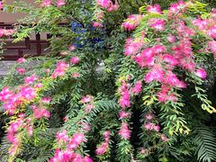 -成都杜甫草堂博物馆