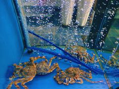 -鲜味食族水产·海鲜餐厅