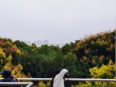 -武汉荟聚