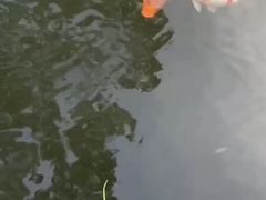 -杭州西湖柳莺里酒店