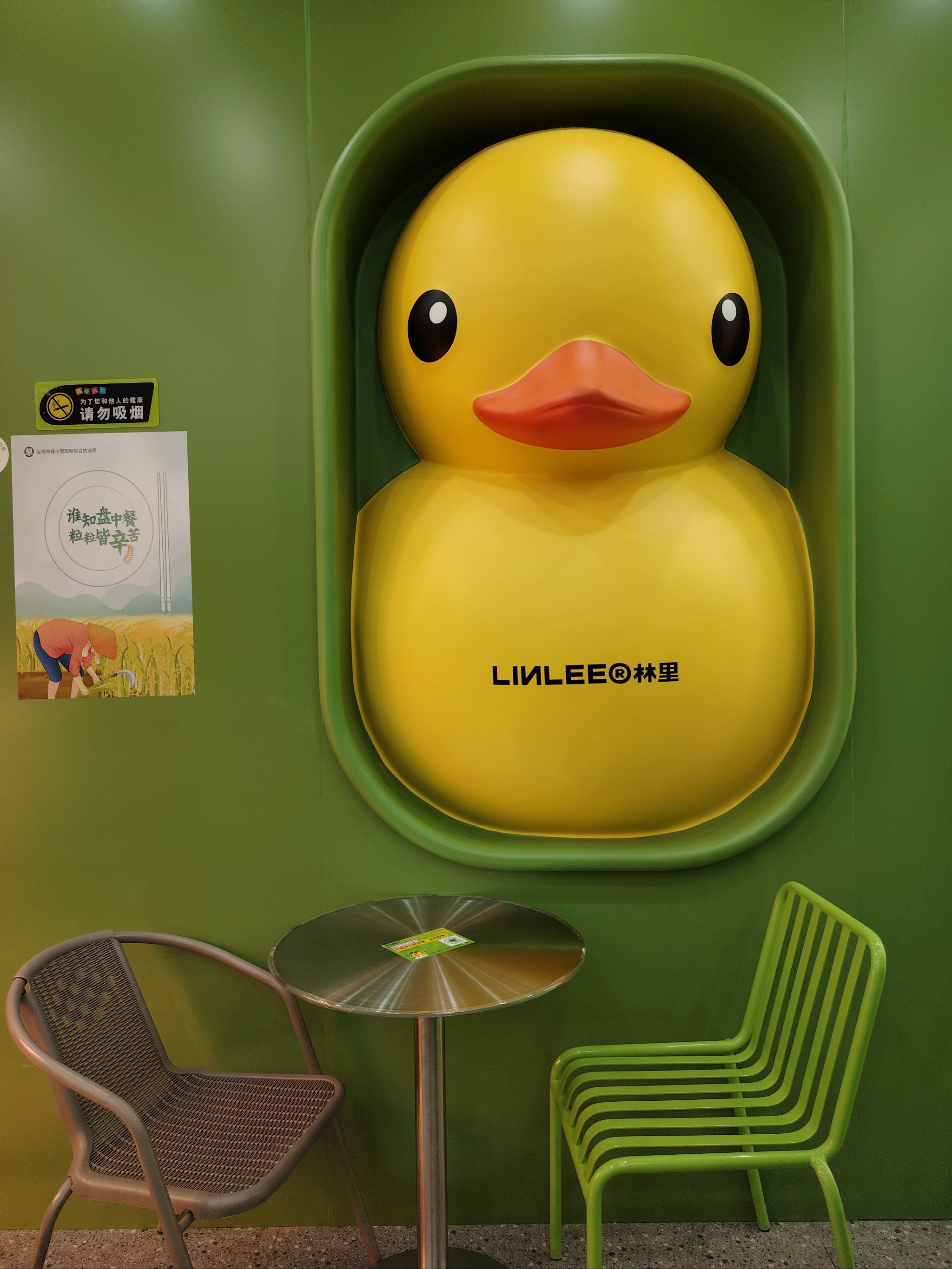 小黄鸭的快乐时光