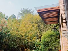 -龙山酒店温泉