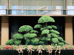-上海外滩茂悦大酒店