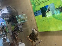 -陕西自然博物馆