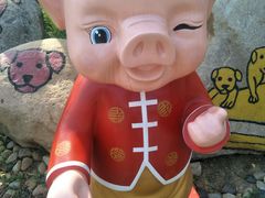 -合肥滨湖国家森林公园