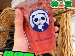 -茶百道(龙阳广场店)